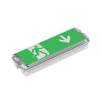 GGS 2,5, noodverlichting, nood/continu of schakelbaar of alleen nood, 170/110 lumen, IP65, incl. pictoset