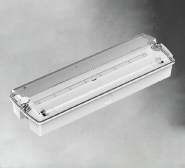 GGS 2,5, noodverlichting, nood/continu of schakelbaar of alleen nood, 170/110 lumen, IP65, incl. pictoset